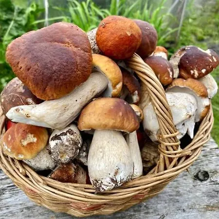 Dom wakacyjny Elegante Maison 225 M2, Au Vert, 10 Personnes, 5 Chambres, 5 Salles De Bain Saint-Bonnet-le-Chastel