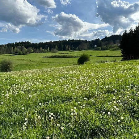 Dom wakacyjny Elegante Maison 225 M2, Au Vert, 10 Personnes, 5 Chambres, 5 Salles De Bain *