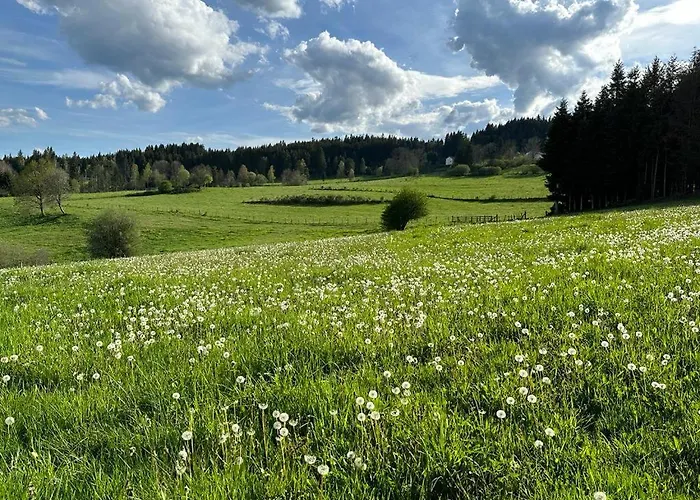 Holiday home Elegante Maison 225 M2, Au Vert, 10 Personnes, 5 Chambres, 5 Salles De Bain *