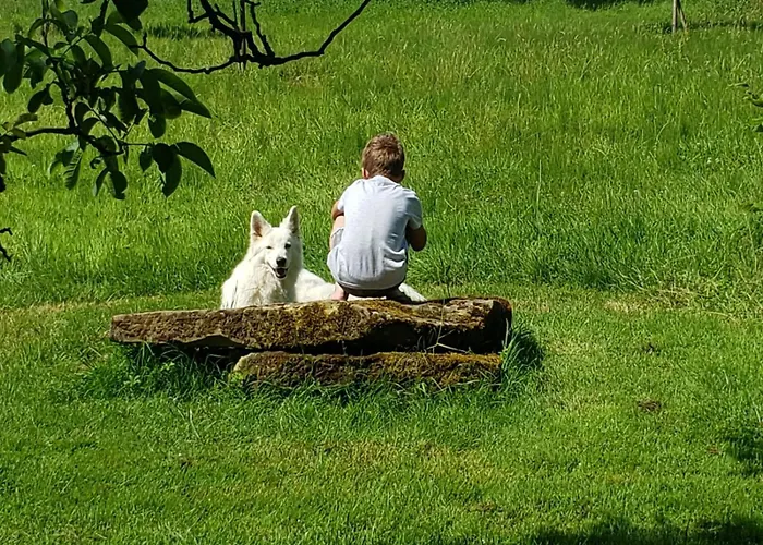 Holiday home Elegante Maison 225 M2, Au Vert, 10 Personnes, 5 Chambres, 5 Salles De Bain